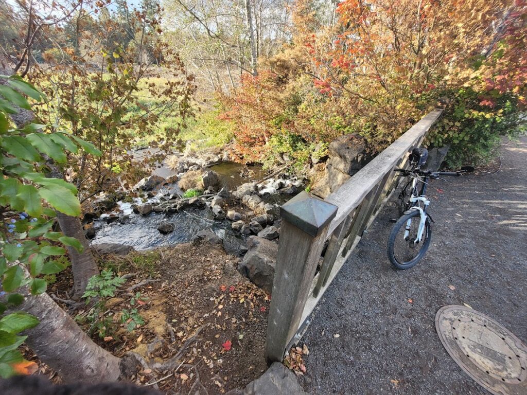 What repairs might cost – Hasso Hering