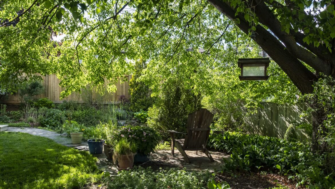 ‘He wants to talk to you’ One gardener was startled to suddenly lock eyes with a tawny frogmouth, cleverly disguised as a tree branch.