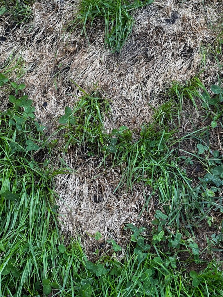 Hello friends! (Australia)