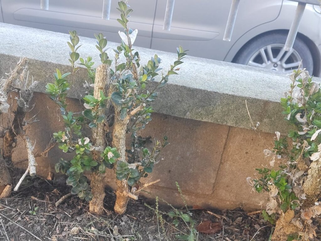 My coworker want to get rid of these, are they worth it? My coworker want to get rid of these, are they worth it?