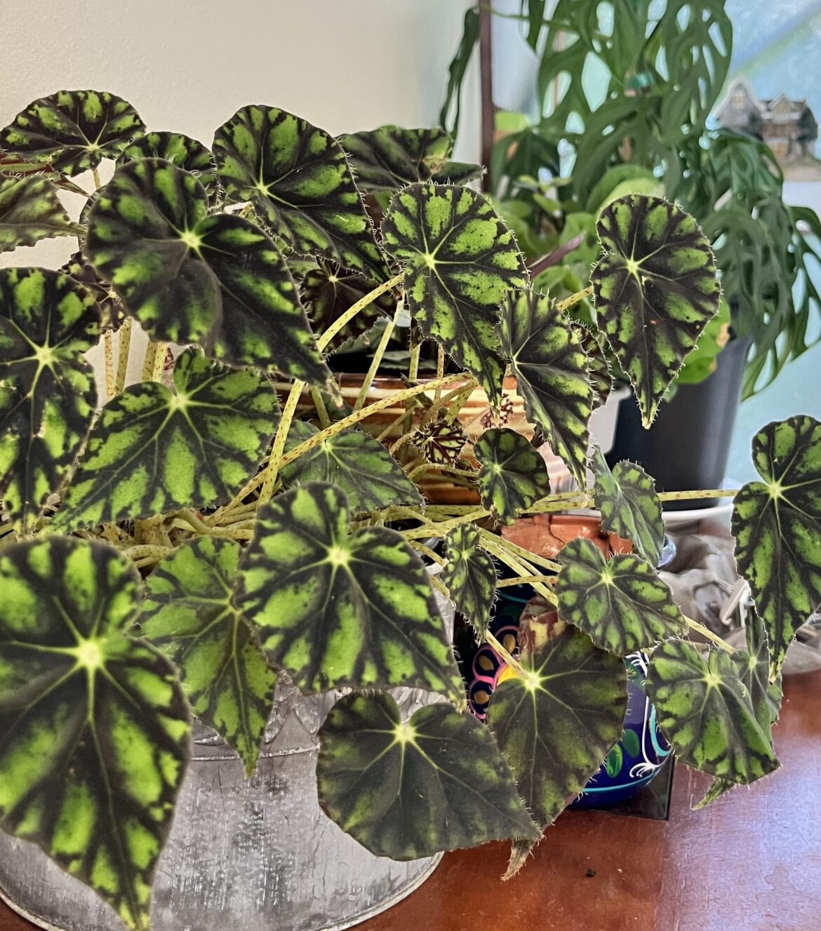 This is my first one, show yours