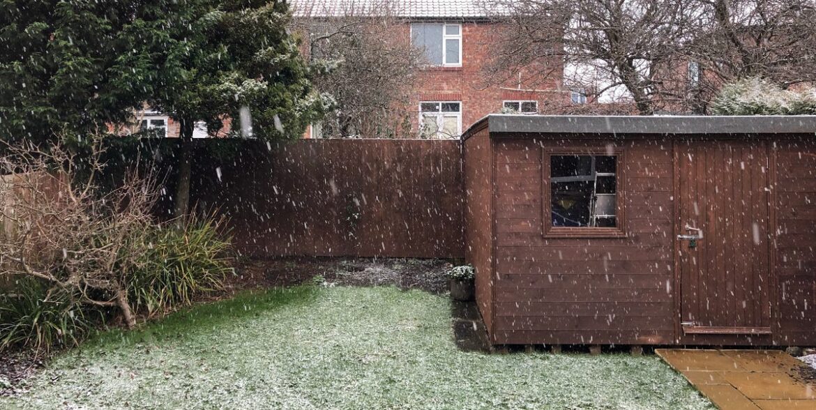 7 Things You Shouldn't Leave In The Shed This Winter