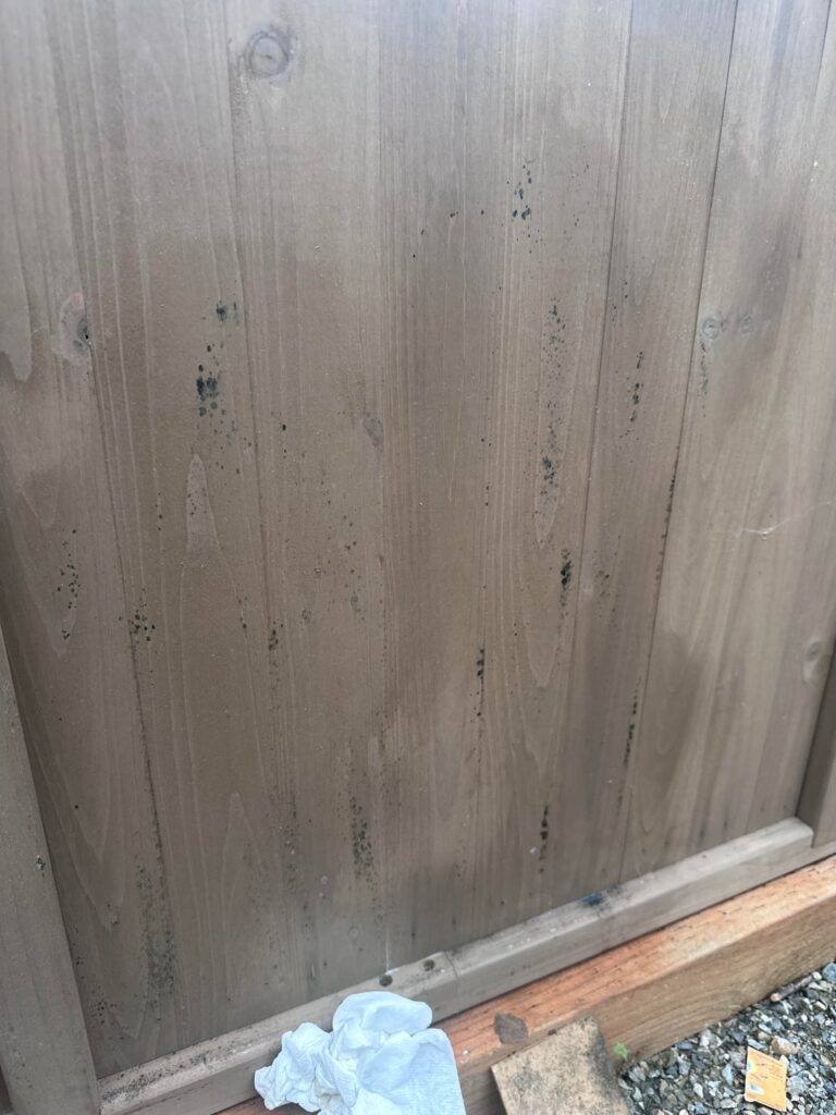 Mold on siding.