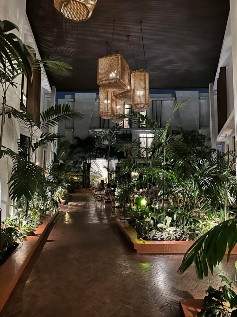 The plants at my hotel