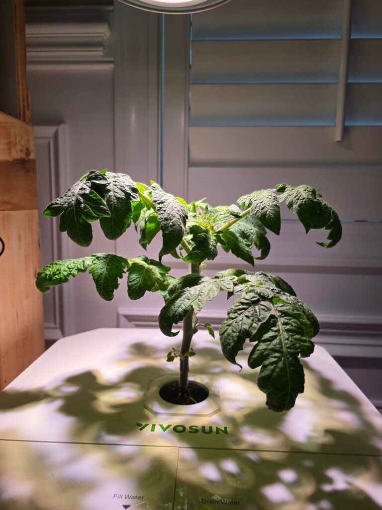 I’m hoping to have some amazing salads this winter. I'm hoping to have some amazing salads this winter.