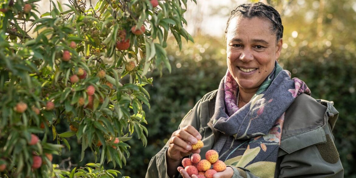 6 Twixmas jobs to transform your garden for 2026 plus the top books & tools you need to make it happen 6 Twixmas jobs to transform your garden for 2026 plus the top books & tools you need to make it happen