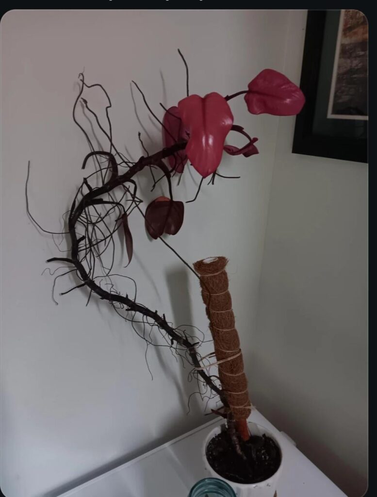 How does this even happen 😭