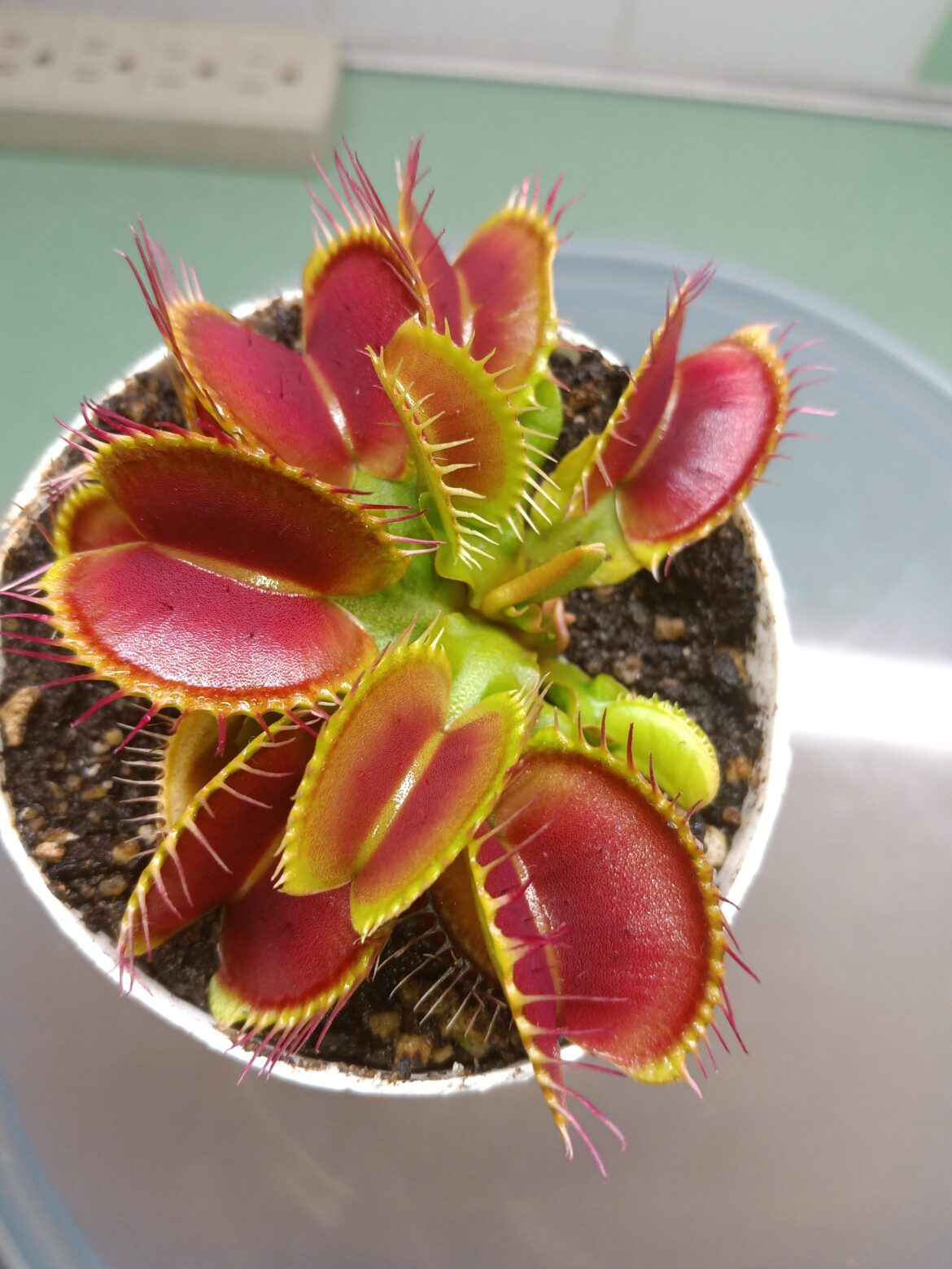 i love the color so far ...