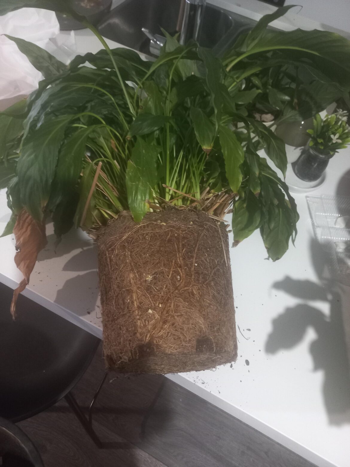 What's the solution if you don't want to upgrade pot size?