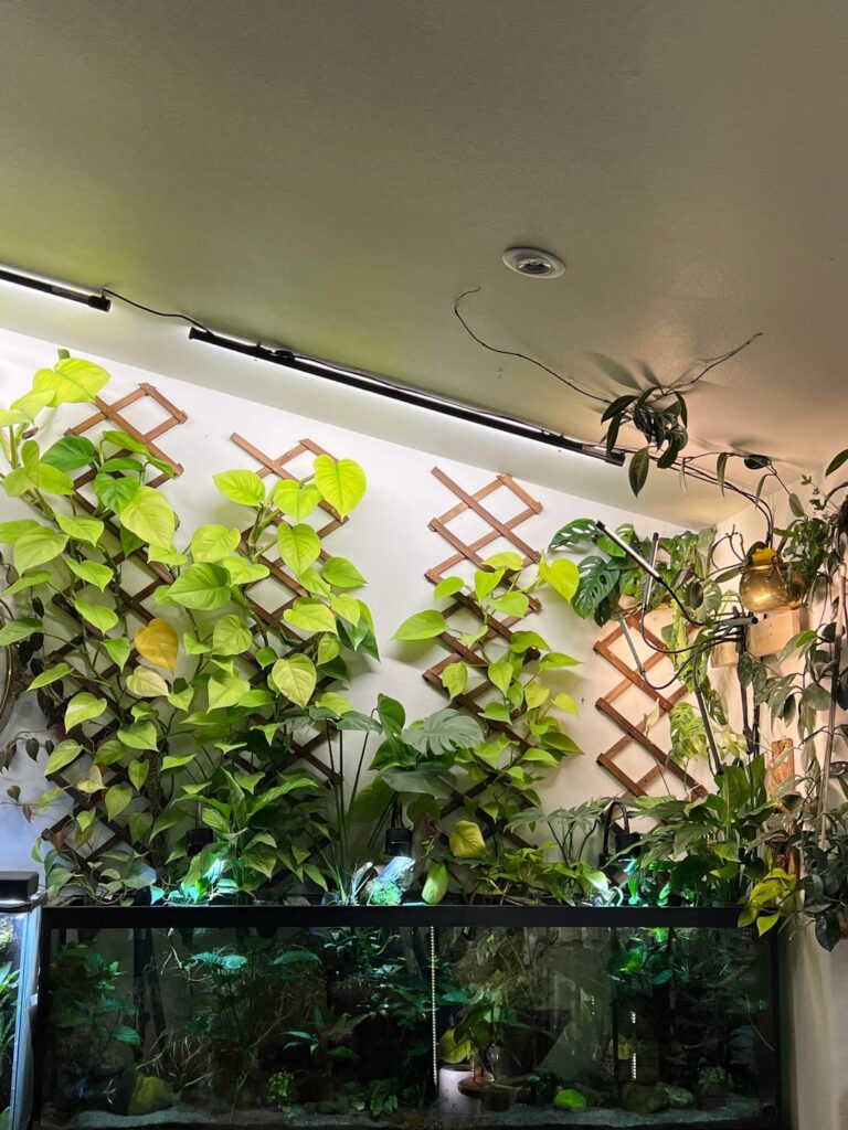 What do you guys think is wrong?