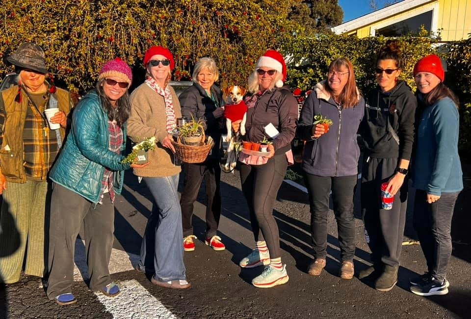 Home & Garden Digest – Santa Cruz Sentinel Home & Garden Digest – Santa Cruz Sentinel