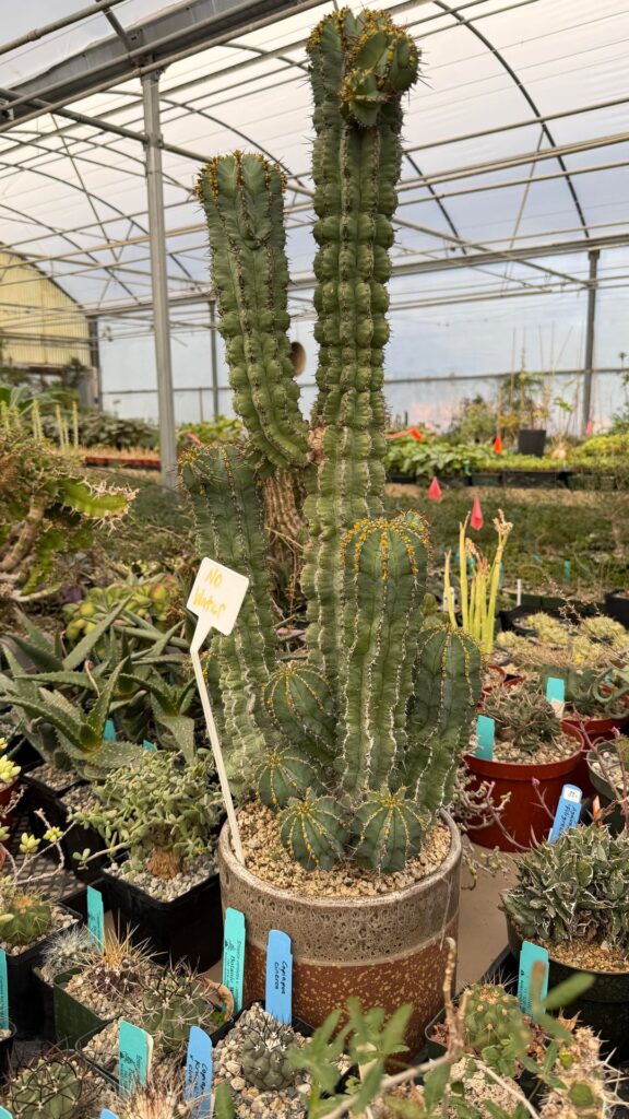 Botanic Wonders is my new happy place