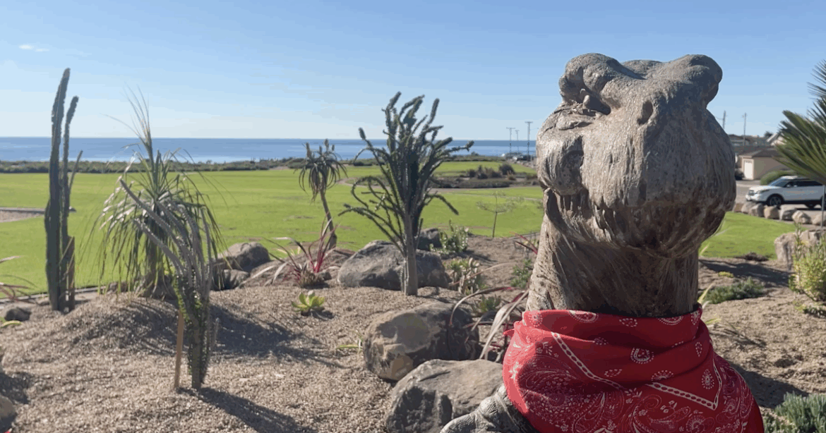 Phase 1 of Dinosaur Caves Park garden renovation complete Phase 1 of Dinosaur Caves Park garden renovation complete