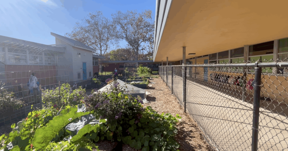 School garden creates lasting memories for elementary students School garden creates lasting memories for elementary students