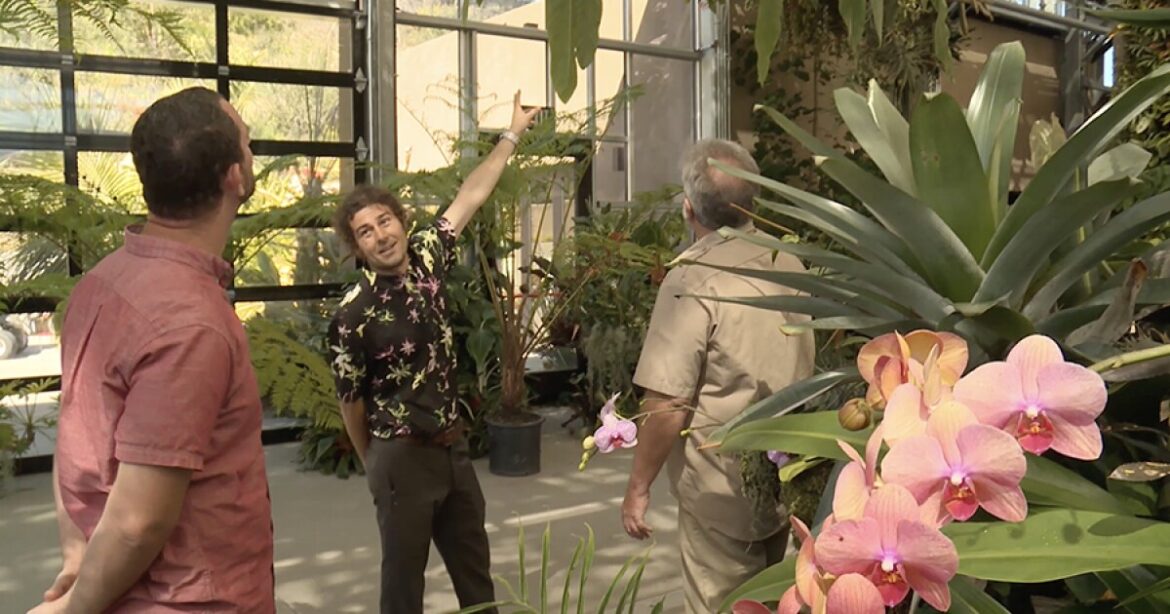 A GROWING PASSION: The World In A Garden