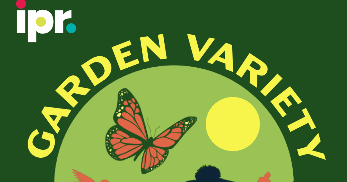 BONUS: Trouble in tropical plant paradise BONUS: Trouble in tropical plant paradise