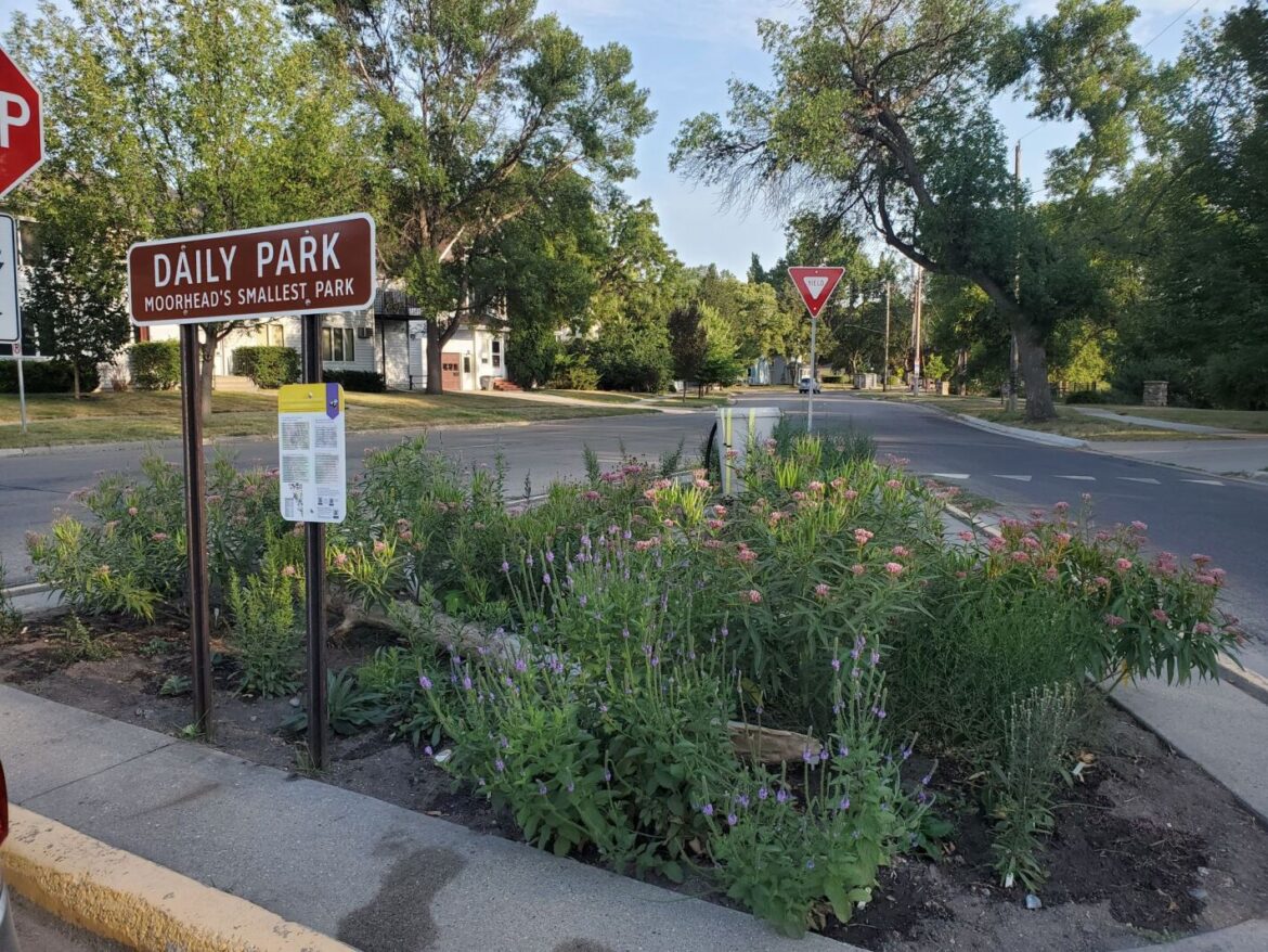 Do you foresee yourself in these 2026 garden trends? – InForum Do you foresee yourself in these 2026 garden trends? - InForum