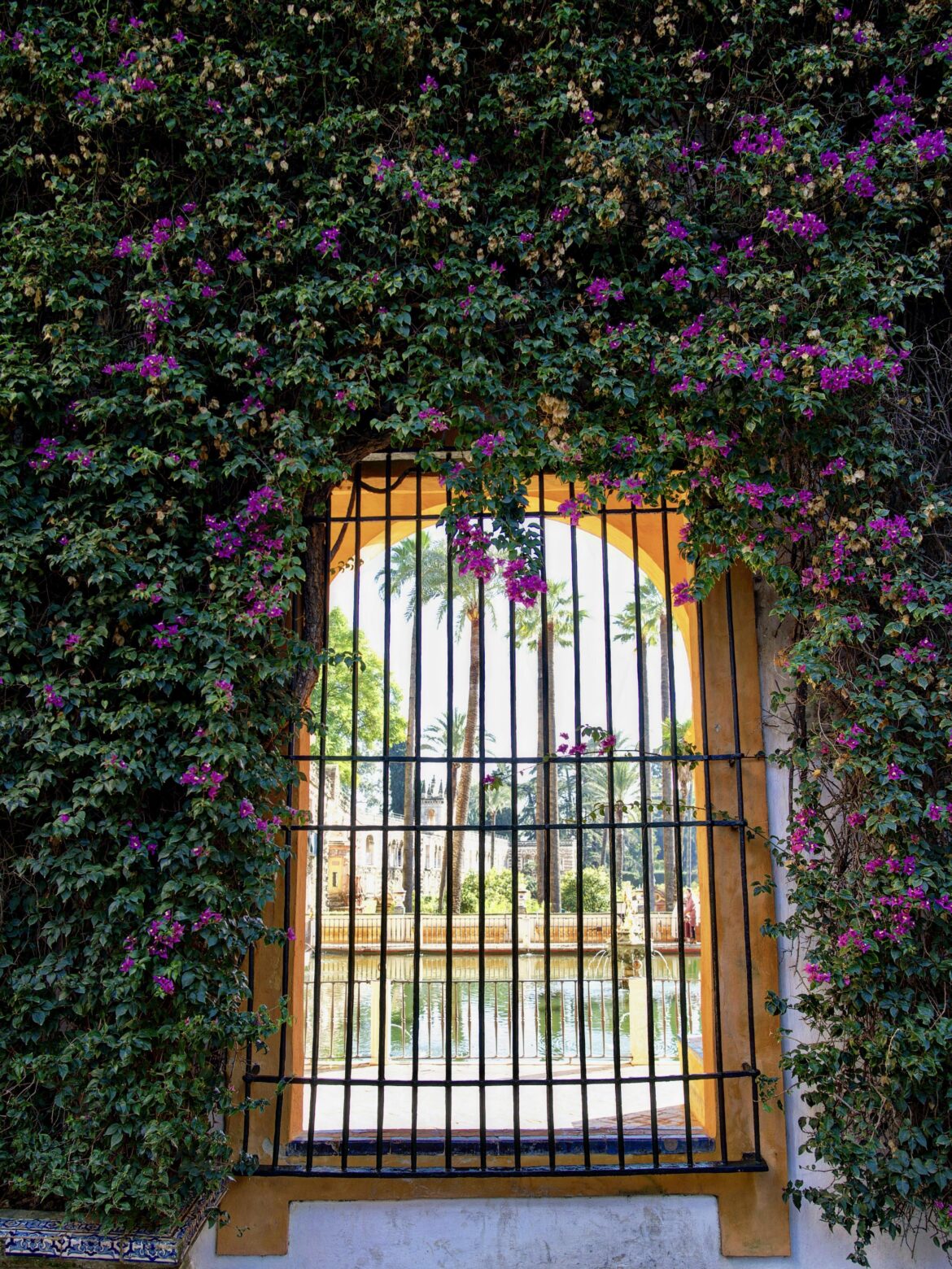 Alcázar in Color, Spain