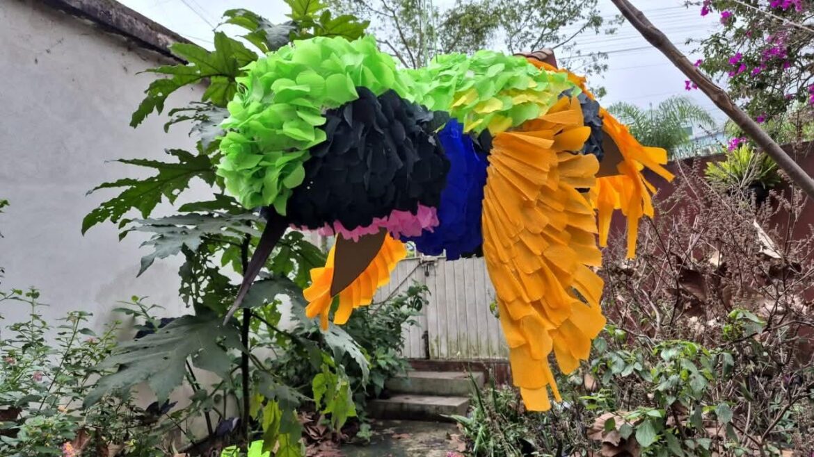Hummingbird piñata contest: need a little hand