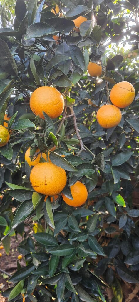 Are these okay? Are these okay?