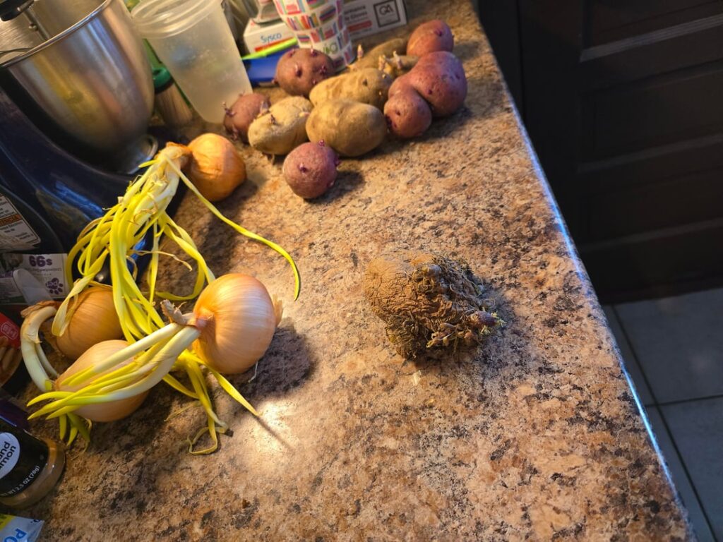 Found these in my cabinet, feels wrong to throw them away what do you recommend?