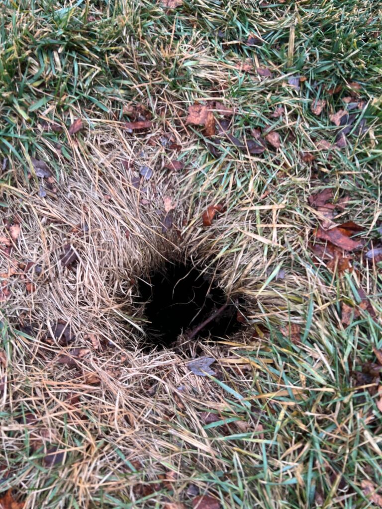 Mystery Well Front Yard