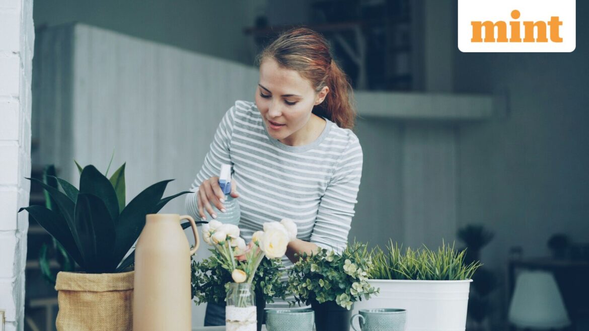 In winter, purposely placing pots near a bright window or using a daytime grow light for short periods helps anchor the body clock.