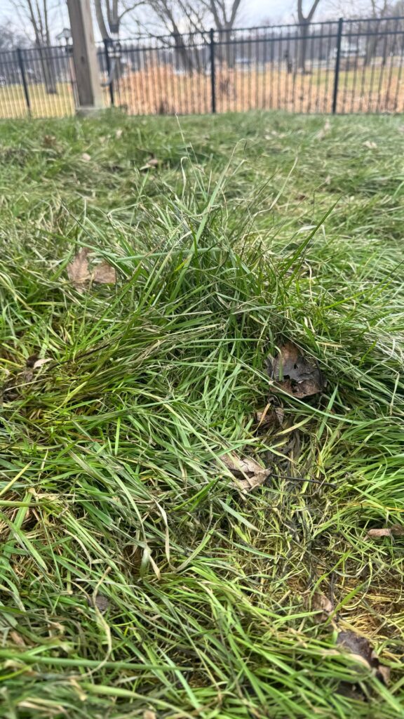 What to do before winter sets in?