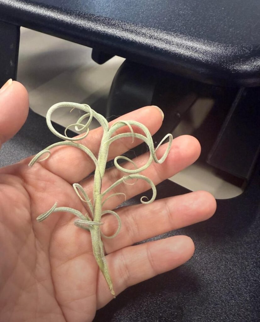 Change in a month and half