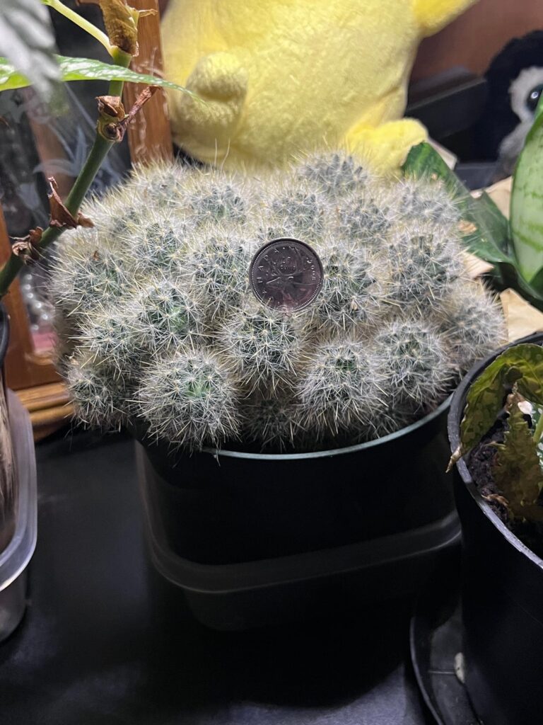 I just inherited her-