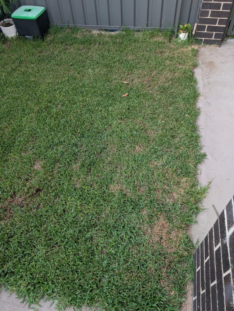 Nsw aus - Random dead spots