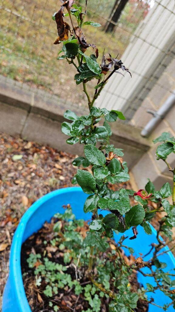 Outside san antonio tx