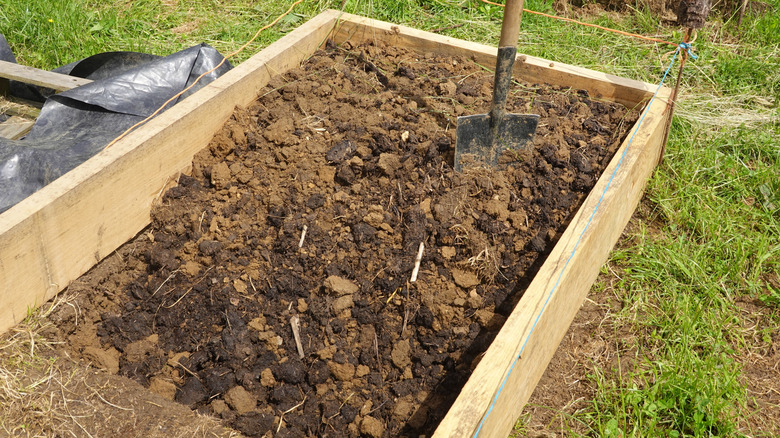 Adding manure to a raised garden bed