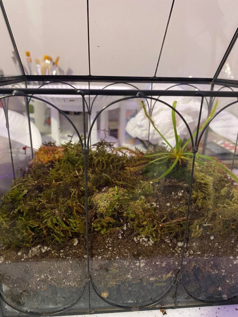 SOS! Need Ping Advice