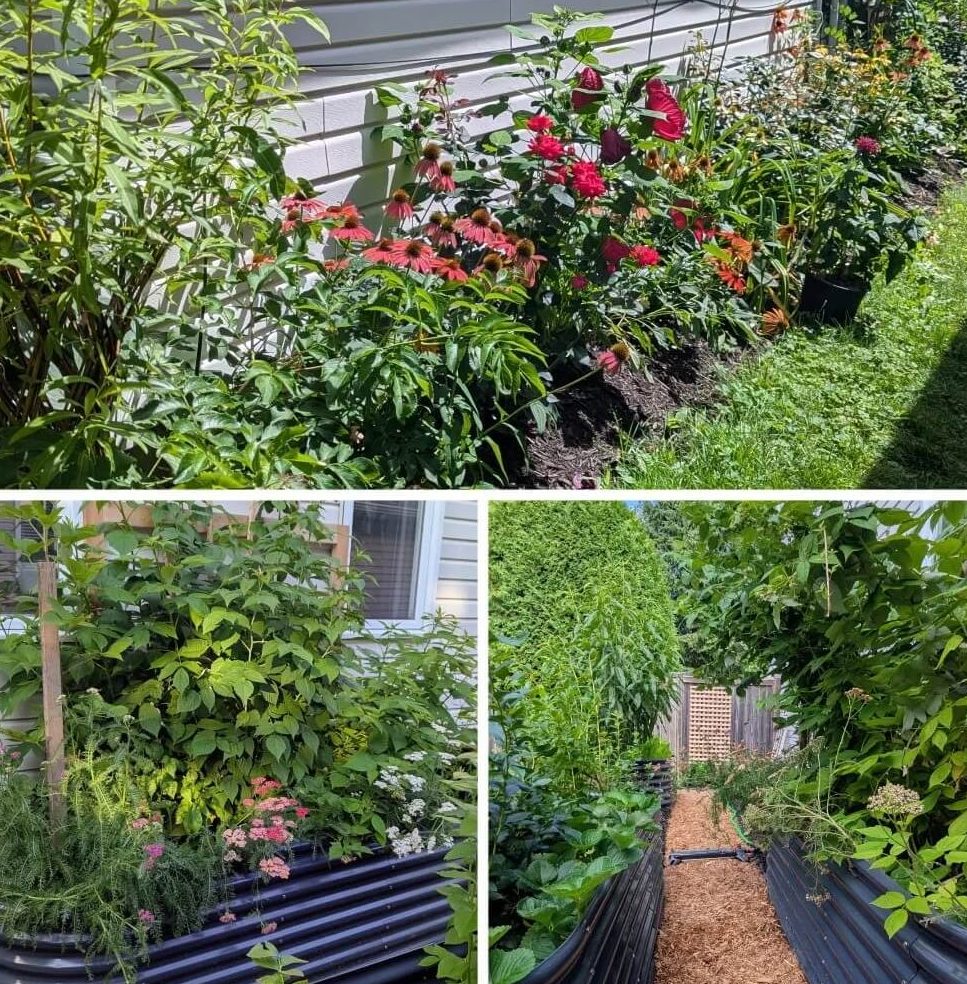 One homeowner on the subreddit r/gardening shared how they created a pollinator-friendly garden at their new home.