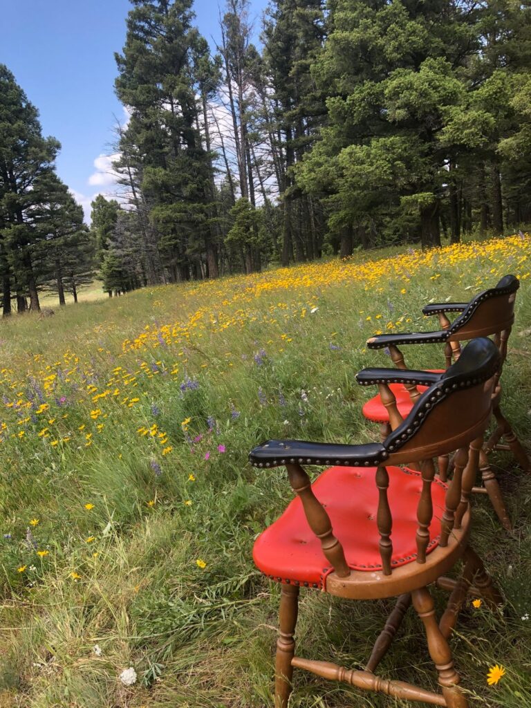 Looking for OffGrid Homesteading Partner