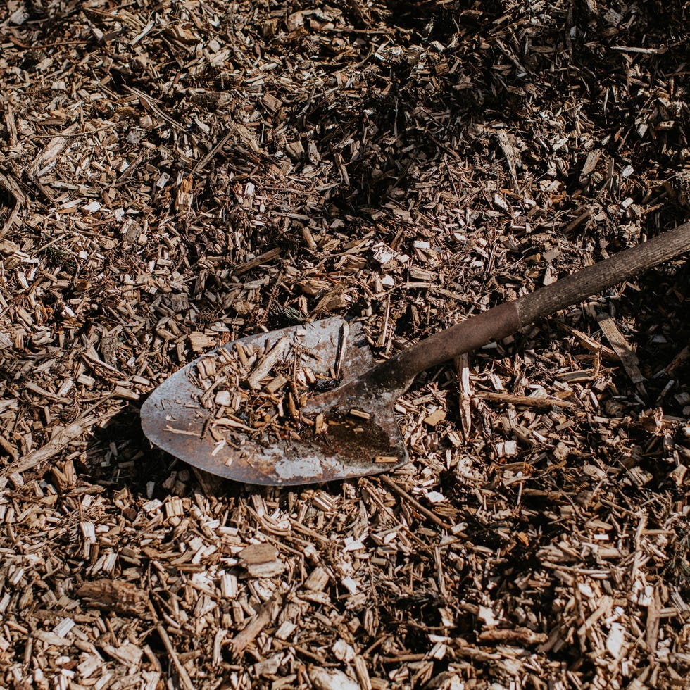 simple image of a spade lying on the ground among a pile of fresh wood chippings simple image of a spade lying on the ground among a pile of fresh wood chippings