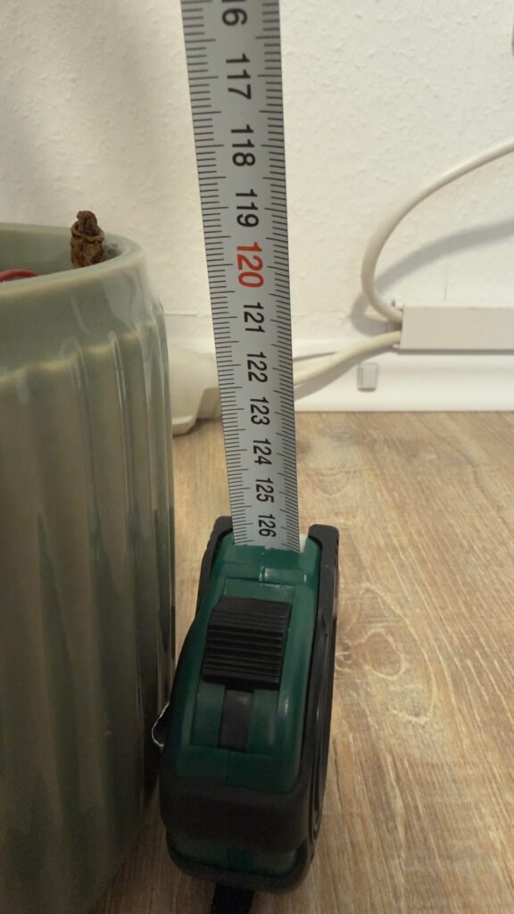 Need Tips for Supporting and Caring for My Tall Nepenthes