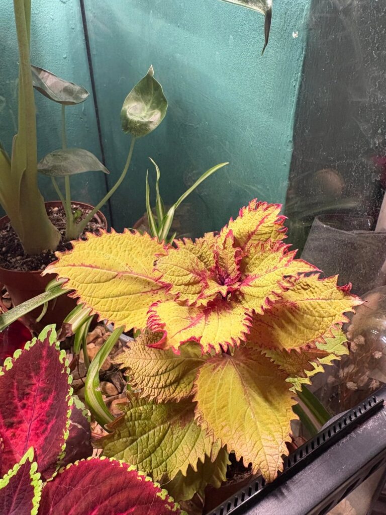 Do I need to be worried?