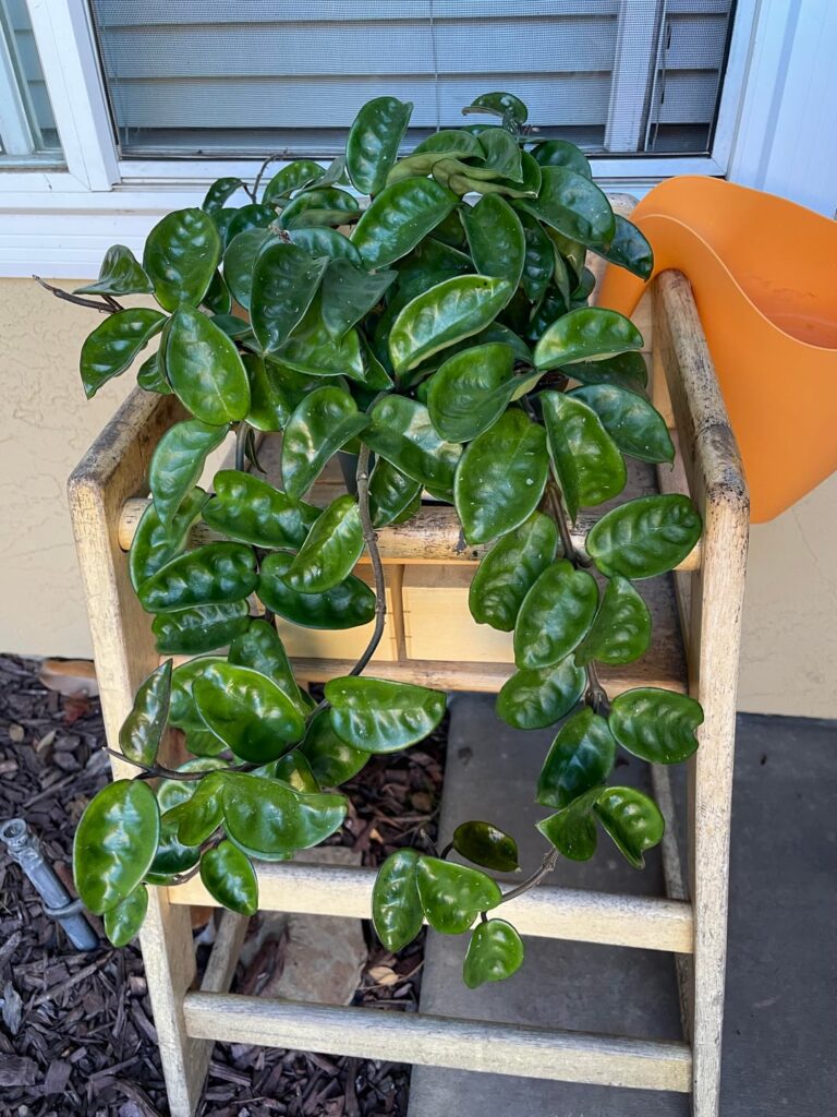 A bit of artistic creativity