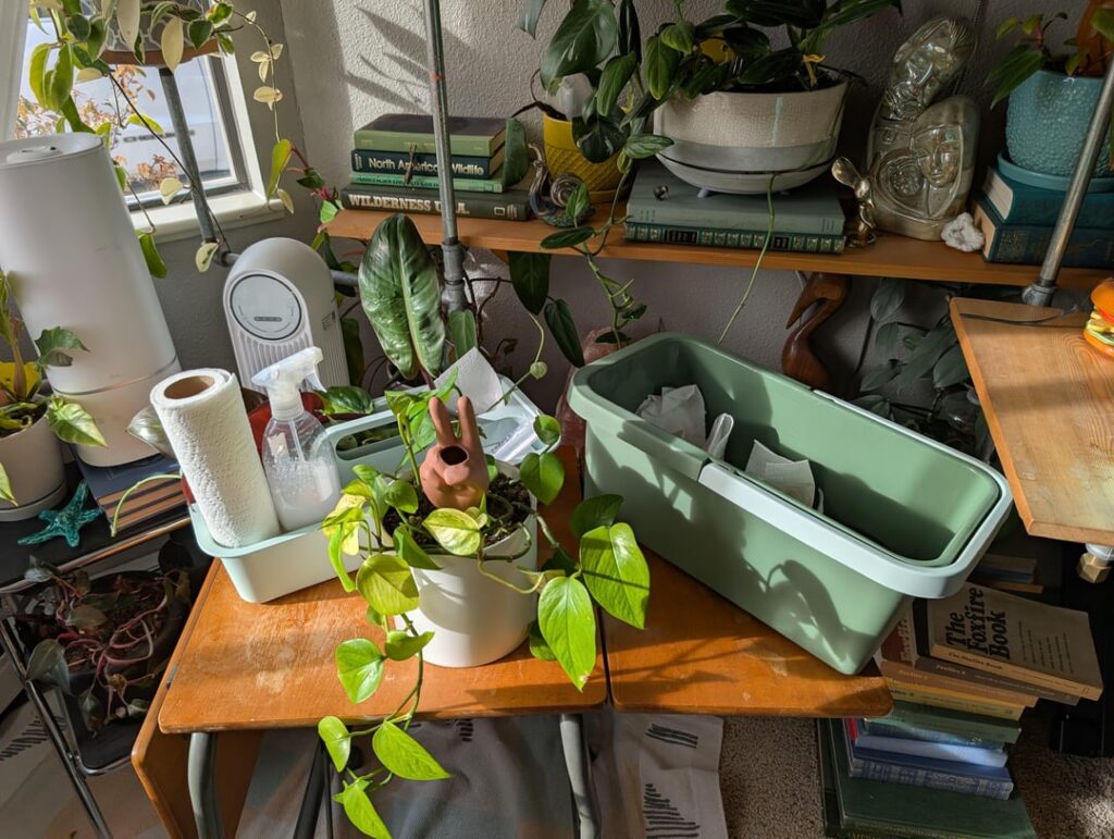 Plant Cleaning & Propagating Game Changer Plant Cleaning & Propagating Game Changer