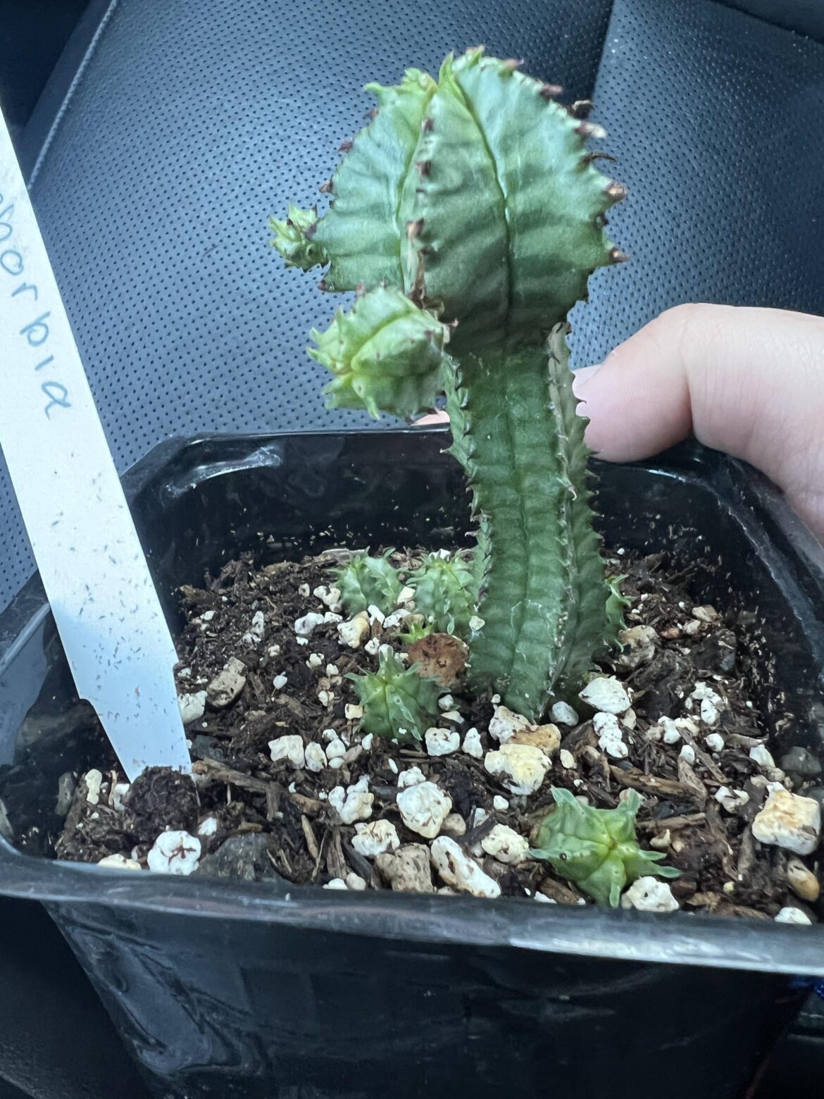 Anyone got a clue on ID?