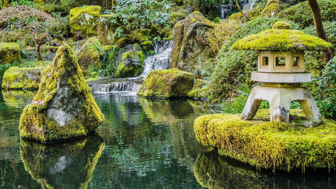 Plant experts reveal the defining features of a Japanese garden Japanese garden, Moss, stone lantern, pond, rocks