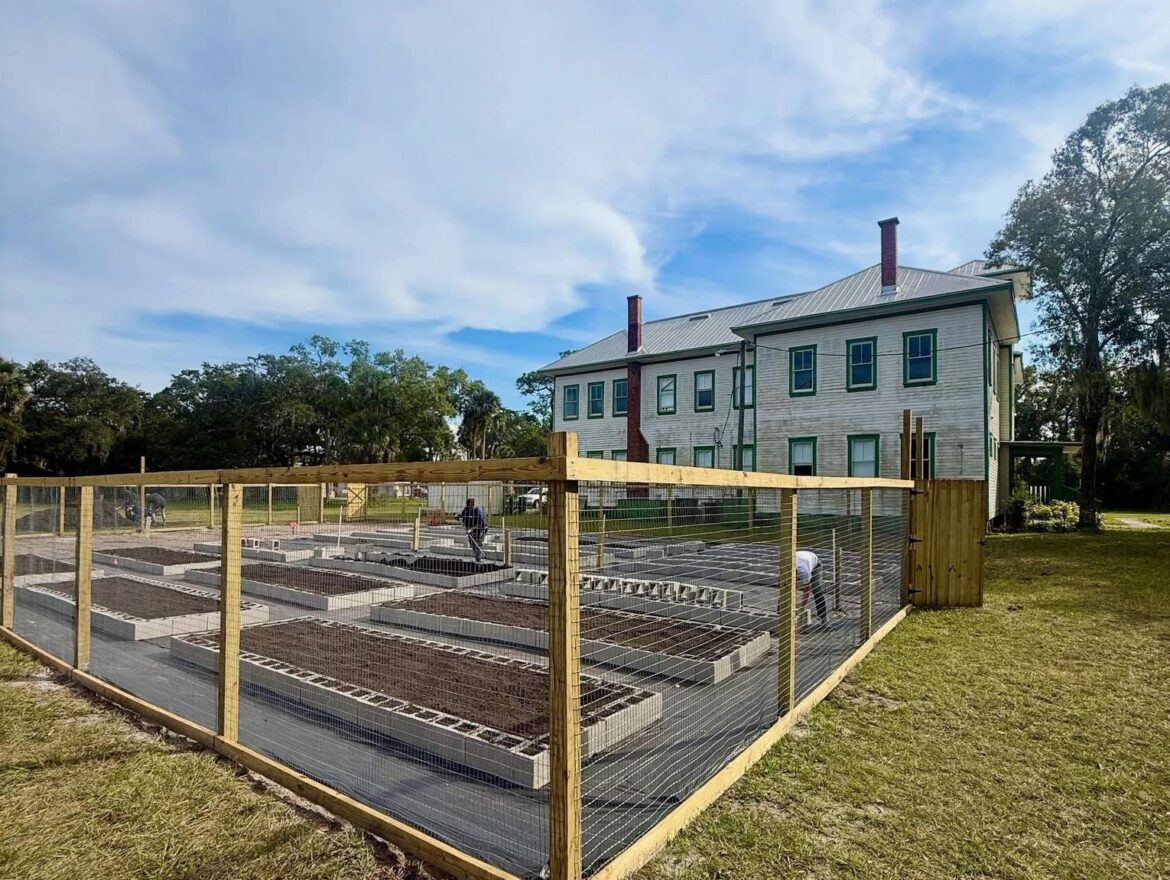 Georgetown Community Garden Update Georgetown Community Garden Update