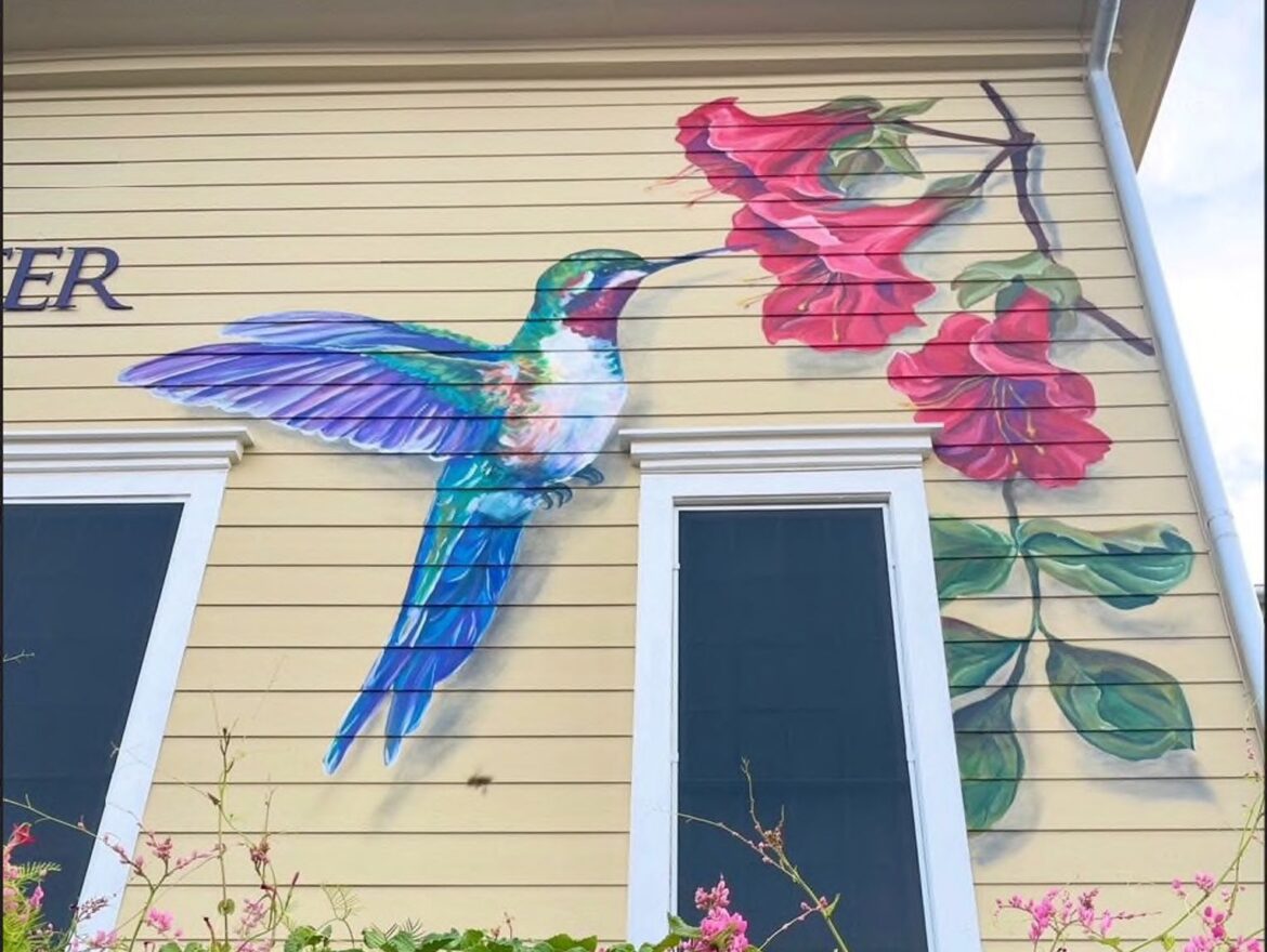 Pollinator garden coming to Price Center Pollinator garden coming to Price Center