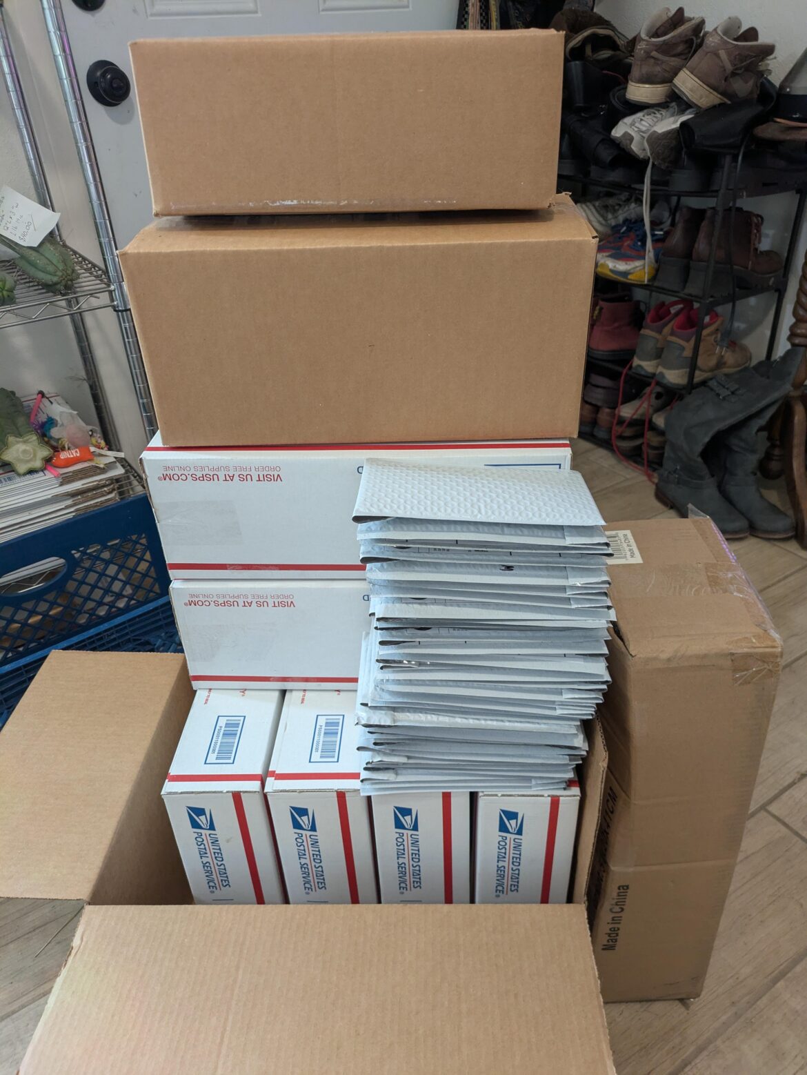 Delayed seed and cacti all shipping out today!