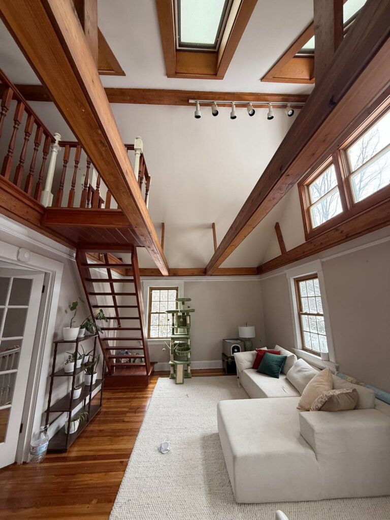 Is this shelf and location okay for my plants? Is this shelf and location okay for my plants?