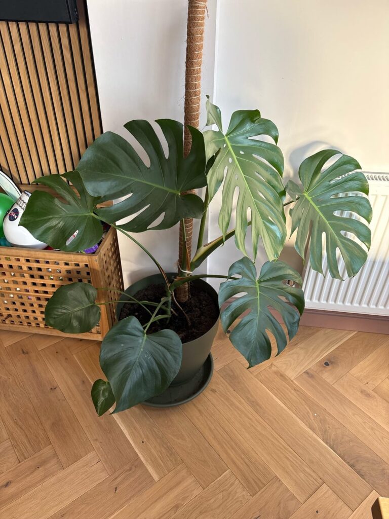 Are we doing this right? Are we doing this right?