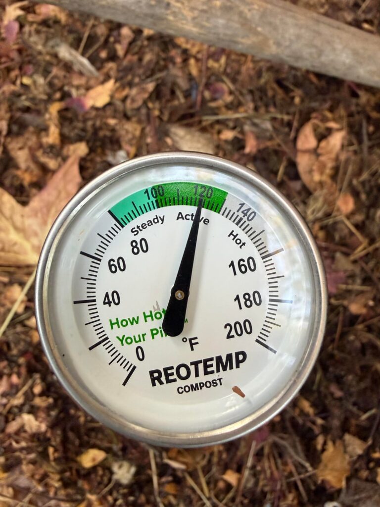 Long time composter first time trying hot compost