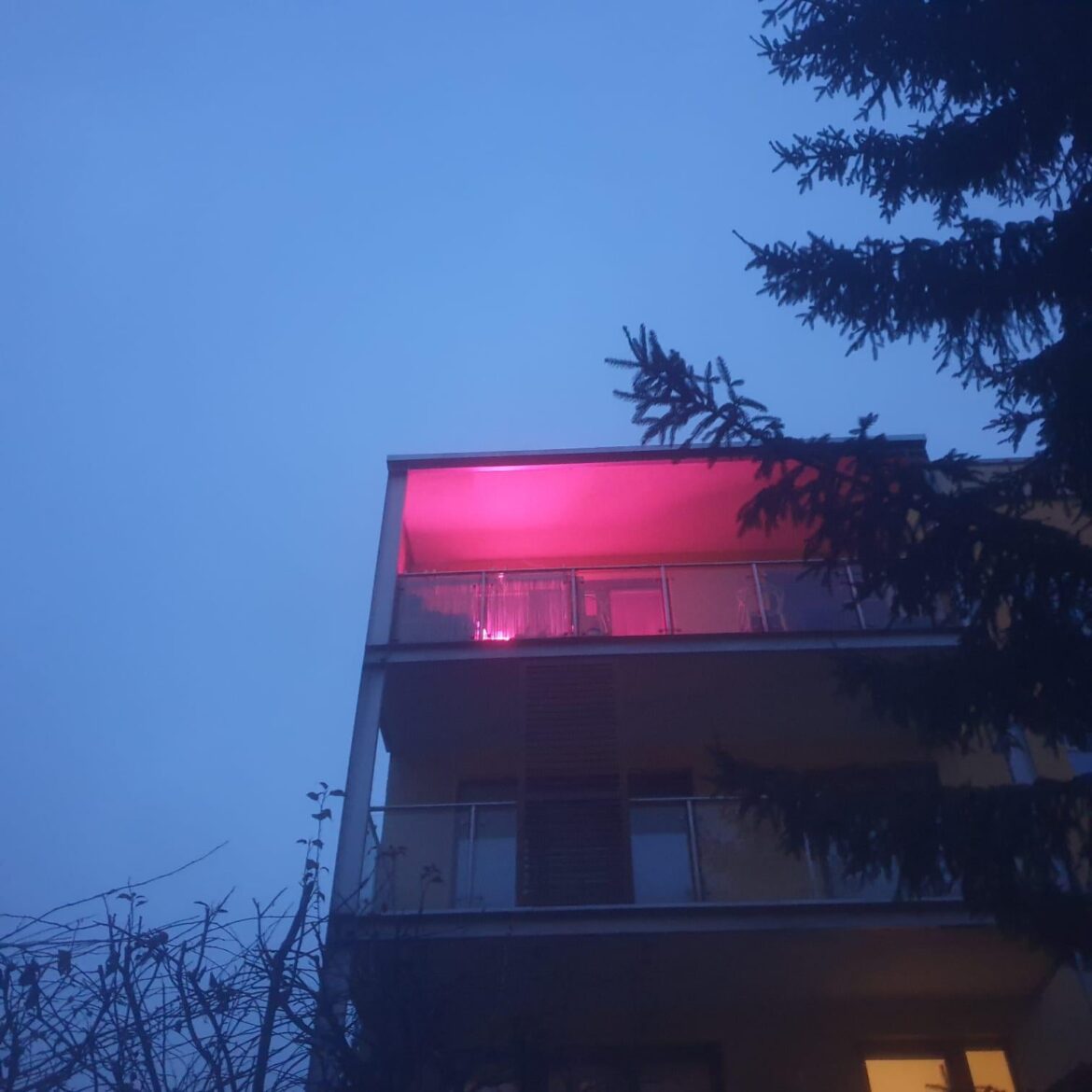 grow lights too bright? grow lights too bright?